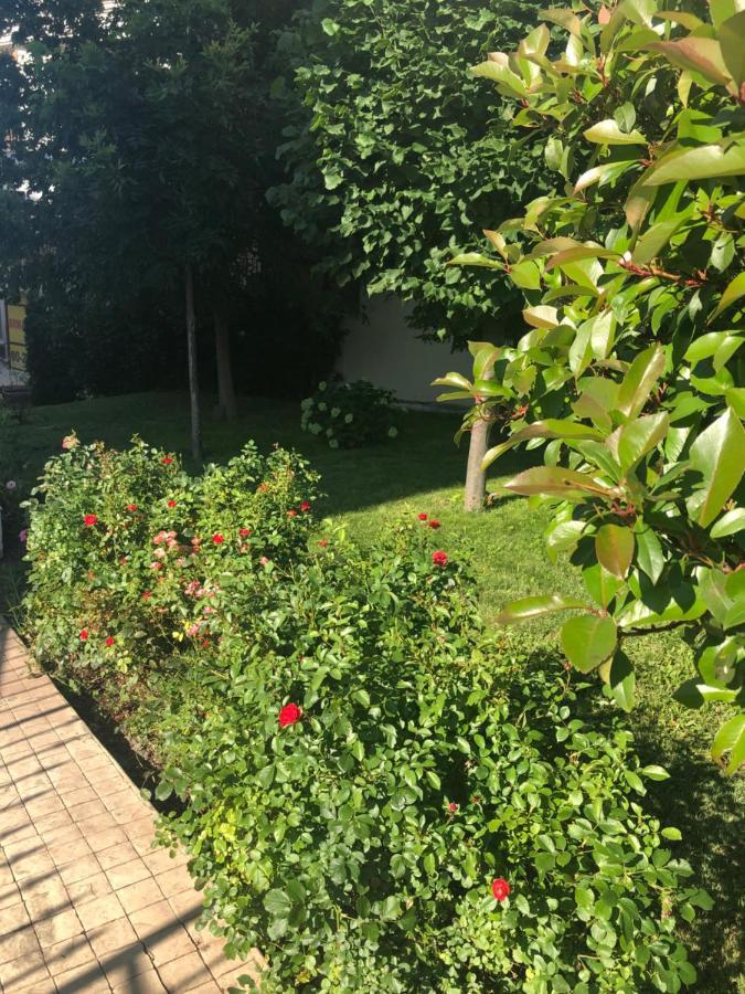 Вила Калабрия Sveti Vlas Esterno foto